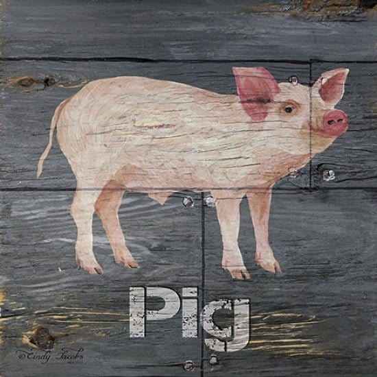 Pig By Cindy Jacobs Art Print - 12 X 12-Penny Lane Publishing-The Village Merchant