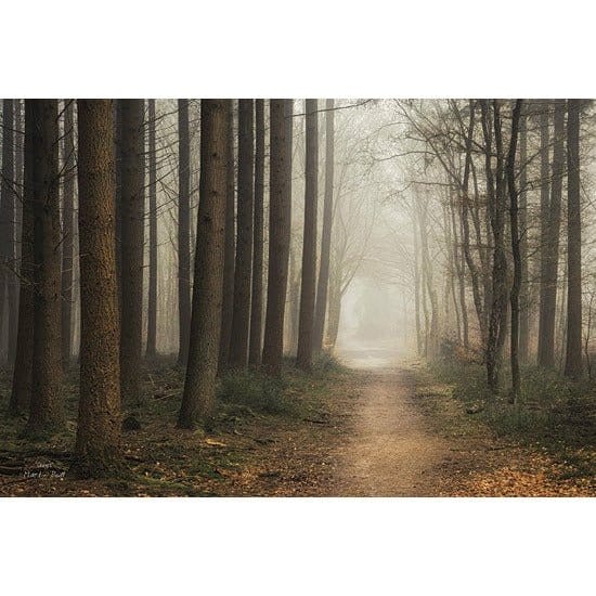 Penny Lane Publishing Quiet By Martin Podt Art Print - 12 X 18