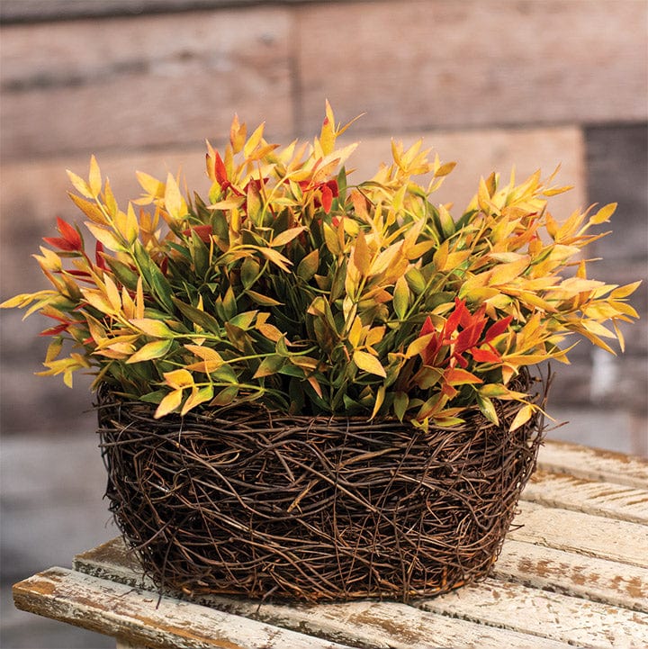 Red and Green Velvet Ash Half Sphere 11" Diameter
