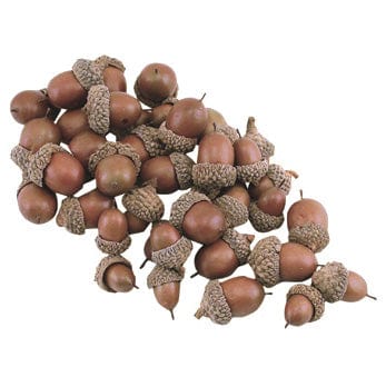 Resin Acorns Fills of Varying Sizes Pack of 35