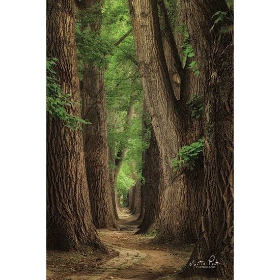 Penny Lane Publishing Roads Were Made For Journeys By Martin Podt Art Print - 12 X 18