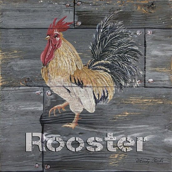 Rooster By Cindy Jacobs Art Print - 12 X 12-Penny Lane Publishing-The Village Merchant