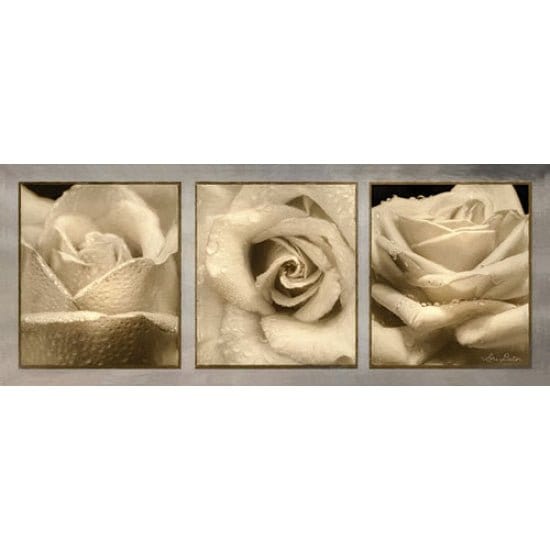Penny Lane Publishing Rose Trio By Lori Deiter Art Print - 8 X 20