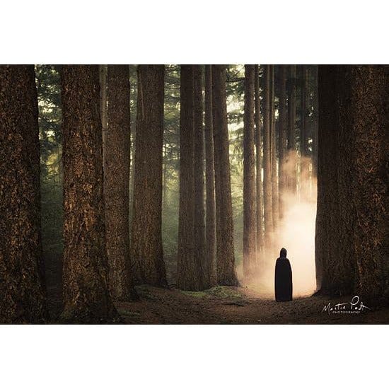 Rubin II By Martin Podt Art Print - 12 X 18-Penny Lane Publishing-The Village Merchant