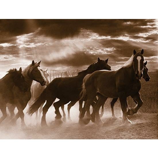 Penny Lane Publishing Running Horses By JG Studios Art Print - 12 X 16
