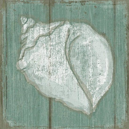 Penny Lane Publishing Seashell By Mollie B Right Art Print - 12 X 12