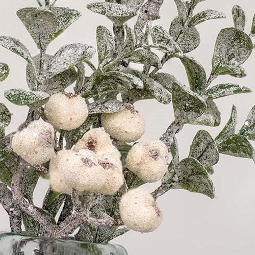 Snow Berries &amp; Icy Boxwood Pick / Spray 11&quot; High