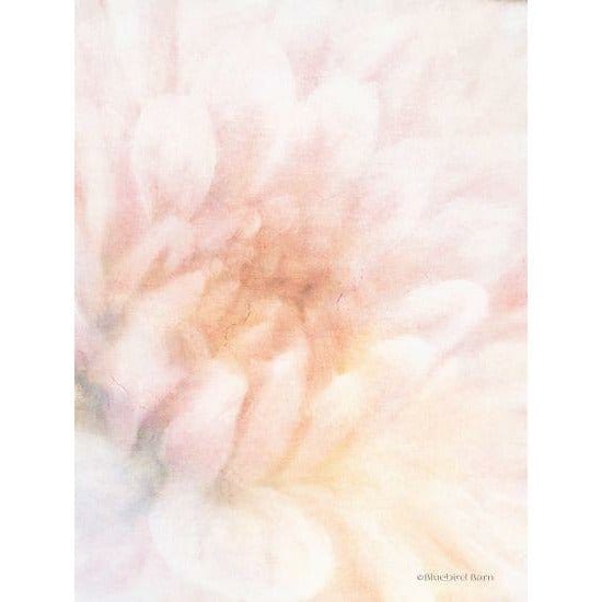 Soft Dahlia Pastel Peach By Bluebird Barn Art Print - 12 X 16-Penny Lane Publishing-The Village Merchant