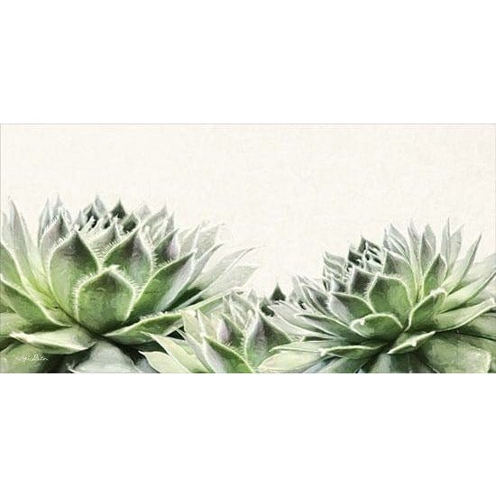 Soft Succulents I By Lori Deiter Art Print - 9 X 18-Penny Lane Publishing-The Village Merchant