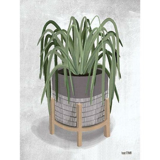 Penny Lane Publishing Spider Plant By House Fenway Art Print - 12 X 16