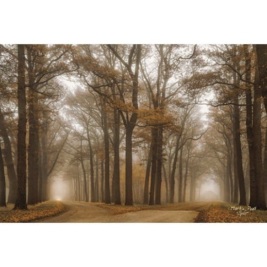 Penny Lane Publishing Split By Martin Podt Art Print - 12 X 18