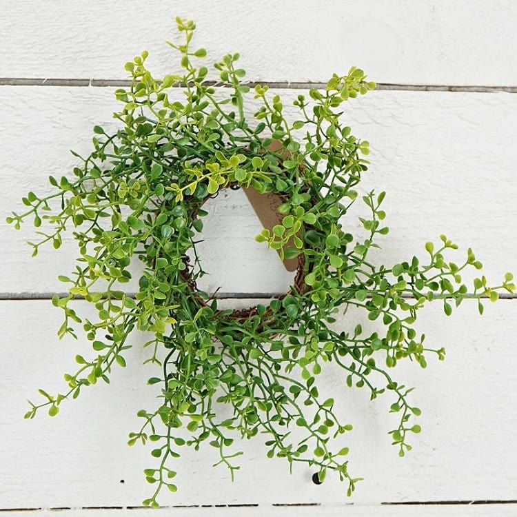 Sprout Grass Candle Ring / Wreath 10&quot; Diameter Outside-Impressive Enterprises-The Village Merchant