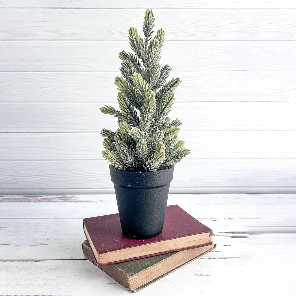 christmas tree shop plant pots Spruce Tree With Black Planter Christmas Tree Mini - 12