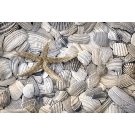 Penny Lane Publishing Starfish And Seashells By Lori Deiter Art Print - 12 X 18