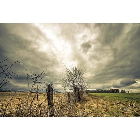 Penny Lane Publishing Storm Season II By Donnie Quillen Art Print - 12 X 18