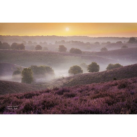 Penny Lane Publishing Sunrise Layers By Martin Podt Art Print - 12 X 18