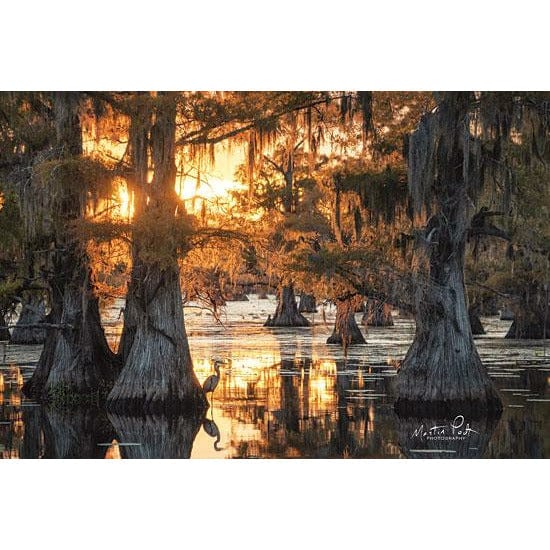 Penny Lane Publishing Sunset In The Swamps By Martin Podt Art Print - 12 X 18
