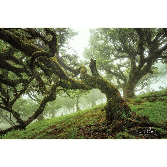 Penny Lane Publishing Tentacles By Martin Podt Art Print - 12 X 18