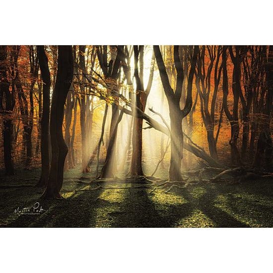 Penny Lane Publishing The Awakening By Martin Podt Art Print - 12 X 18