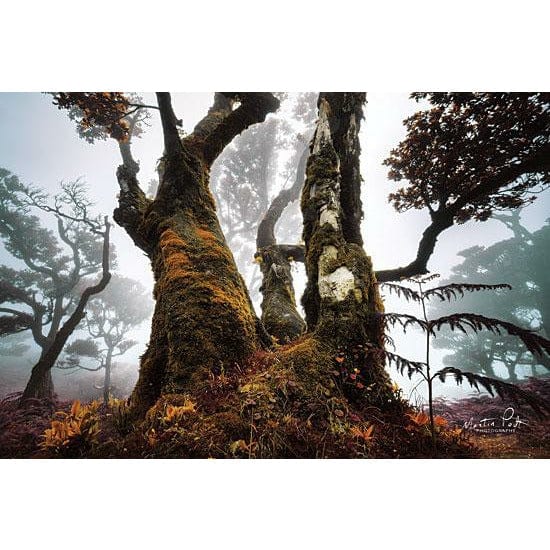 Penny Lane Publishing The Dark King By Martin Podt Art Print - 12 X 18