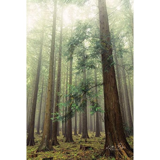 The Friendly Giants By Martin Podt Art Print - 12 X 18-Penny Lane Publishing-The Village Merchant