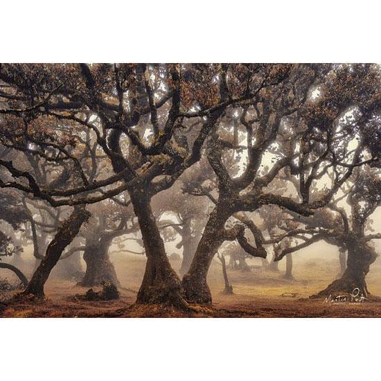 The Hidden Truth By Martin Podt Art Print - 12 X 18-Penny Lane Publishing-The Village Merchant