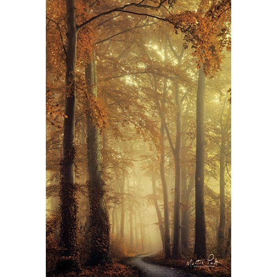 The Path Of Liberation By Martin Podt Art Print - 12 X 18-Penny Lane Publishing-The Village Merchant