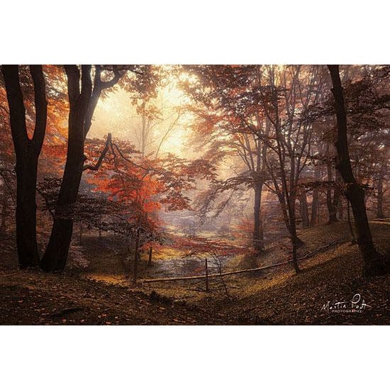 The Pool By Martin Podt Art Print - 12 X 18-Penny Lane Publishing-The Village Merchant