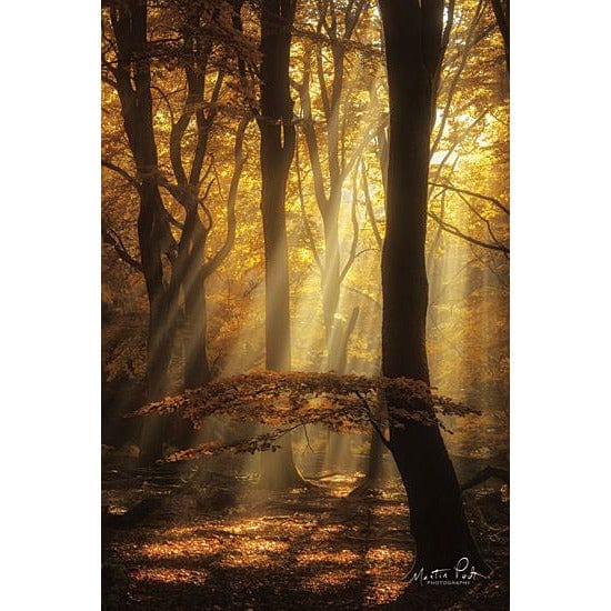 The Umbrella By Martin Podt Art Print - 12 X 18-Penny Lane Publishing-The Village Merchant