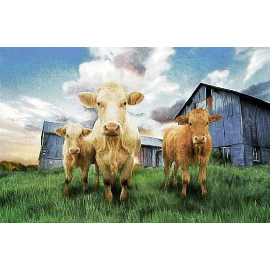 Penny Lane Publishing Three Curious Calves By Bluebird Barn Art Print - 12 X 16