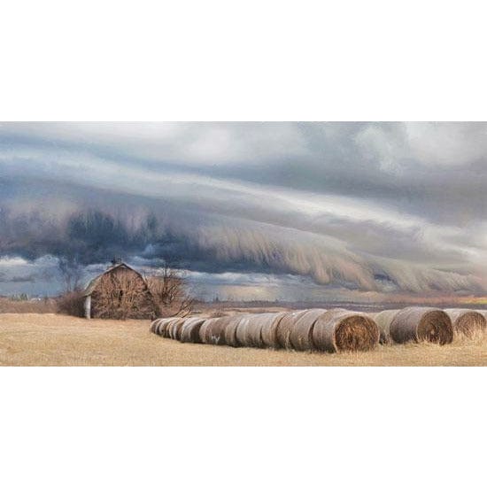 Penny Lane Publishing Tornado Warning By Lori Deiter Art Print - 9 X 18