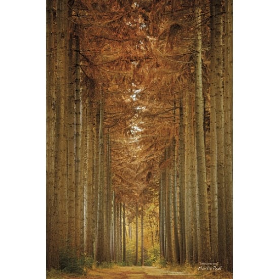 Unexpected By Martin Podt Art Print - 12 X 18-Penny Lane Publishing-The Village Merchant