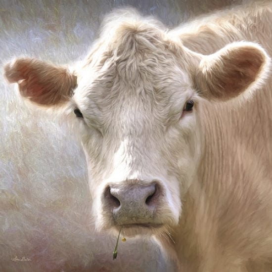 Penny Lane Publishing Up Close Cow By Lori Deiter Art Print - 12 X 12