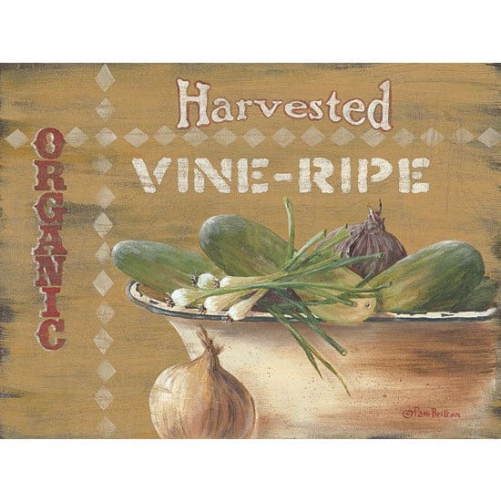 Vine Ripe By Pam Britton Art Print - 12 X 16-Penny Lane Publishing-The Village Merchant