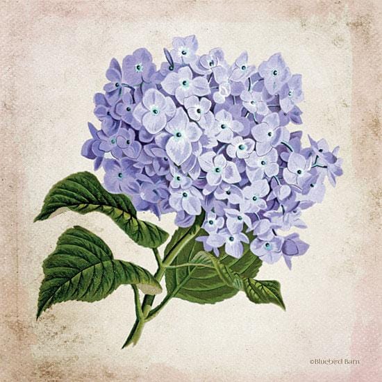 Vintage Lilac By Bluebird Barn Art Print - 12 X 12-Penny Lane Publishing-The Village Merchant