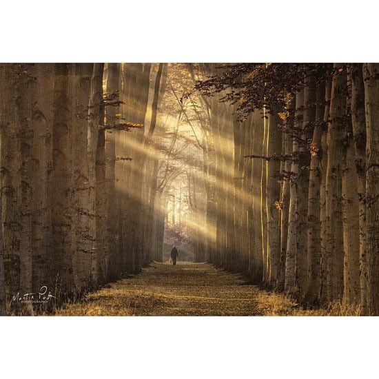 Walking The Dog Again By Martin Podt Art Print - 12 X 18-Penny Lane Publishing-The Village Merchant