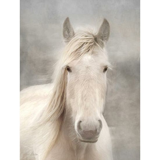 White Beauty I By Lori Deiter Art Print - 12 X 16-Penny Lane Publishing-The Village Merchant