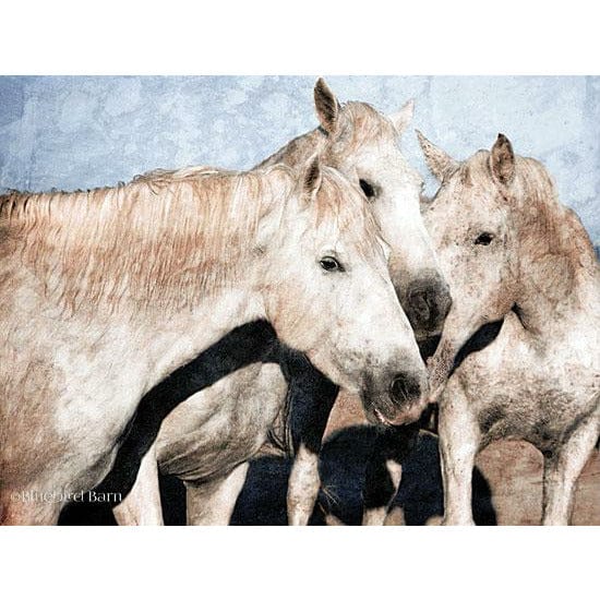 White Horse By Bluebird Barn Art Print - 12 X 16-Penny Lane Publishing-The Village Merchant