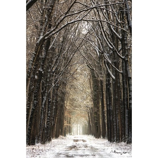 Winter By Martin Podt Art Print - 12 X 18-Penny Lane Publishing-The Village Merchant