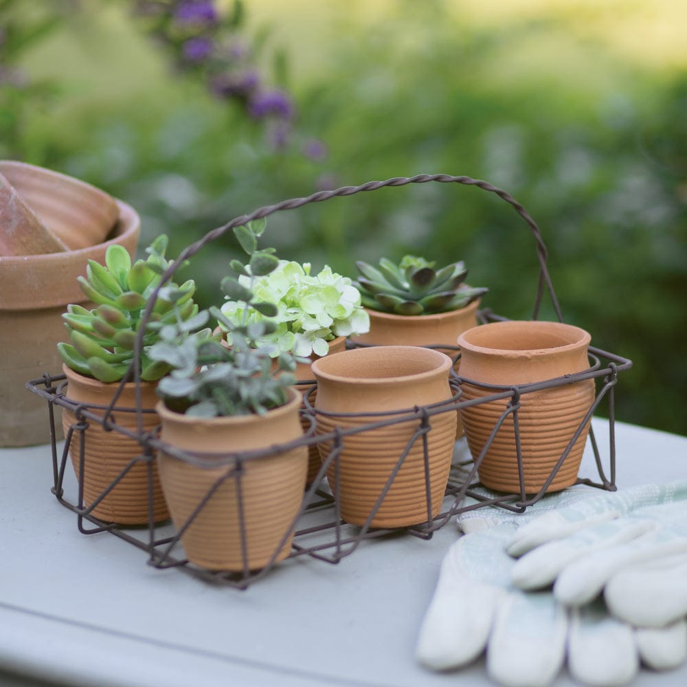 Wire Caddy With Six Miniature Terra Cotta Pots Planter