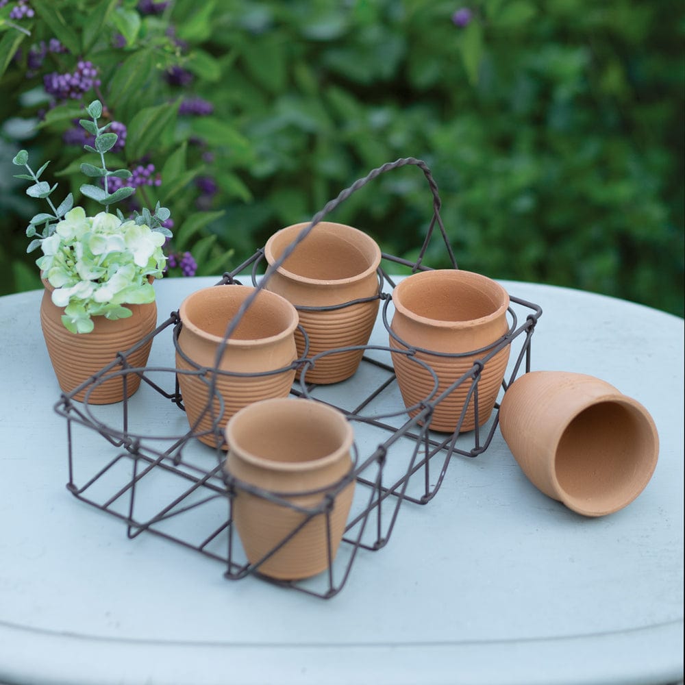 Wire Caddy With Six Miniature Terra Cotta Pots Planter