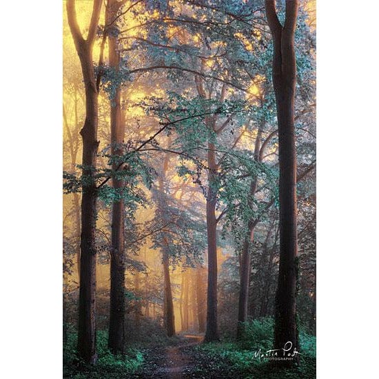 Penny Lane Publishing Wonderland By Martin Podt Art Print - 12 X 18