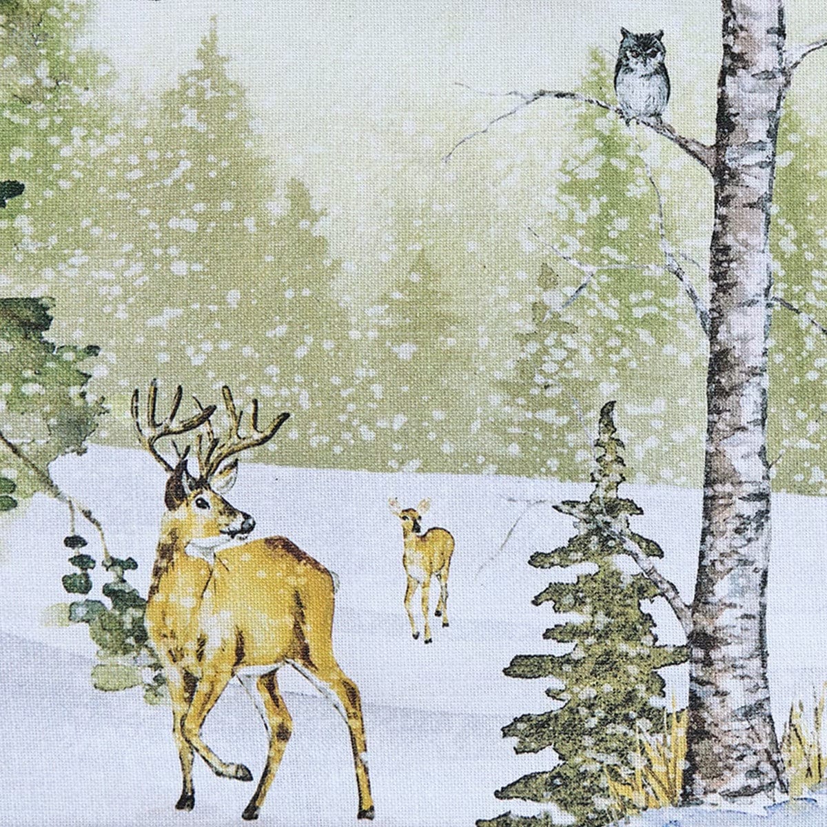 Woodland Winter Printed Placemat Set of 2