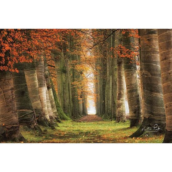 Wrapped By Martin Podt Art Print - 12 X 18-Penny Lane Publishing-The Village Merchant