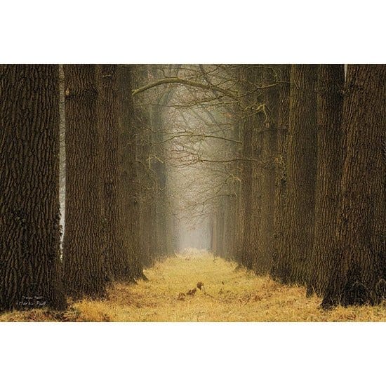 Yellow Path By Martin Podt Art Print - 12 X 18-Penny Lane Publishing-The Village Merchant